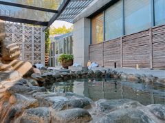 -春晖园度假酒店温泉