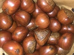 -二斗栗子(西湖道店)