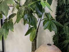 -宫七SPA·高端Massage(浦东大道店)