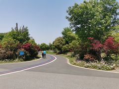 -贡湖湾湿地公园