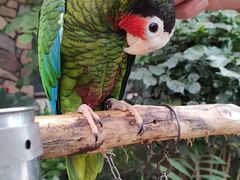 -南宫五洲植物乐园