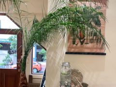 -椰椰大吉(海城店)