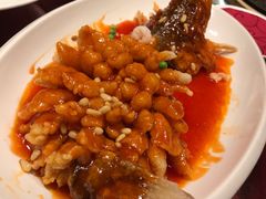 -金鼎轩(亚运村店)