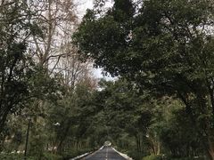 -南京东郊国宾馆