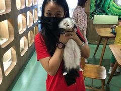 -藦茜花园宠物主题亲子互动体验馆(国顺东路店)