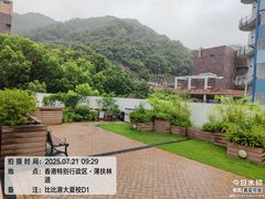 -香港大学