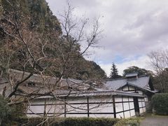 -西芳寺(苔寺)