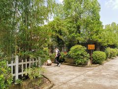 -金孔雀温泉旅游度假村