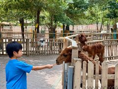 -水上乐园·欢乐世界