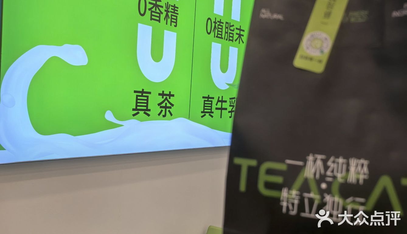 茶猫真是平替中的战斗机