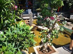 -海韵人家.海景花园经典云南菜(双廊店)
