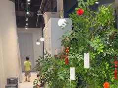 -天真蓝照相馆(龙岗万科里店)