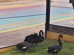 -南戴河国际娱乐中心