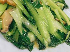 香菇炒青菜-粗茶淡饭(东关街店)