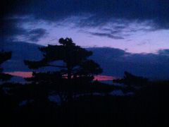 -黄山排云型旅酒店餐厅