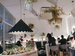 -春树下·树屋花房西餐厅(罍街AS1980店)