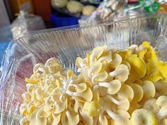 -岳各庄批发市场(西四环中路店)