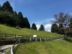 -神户市立六甲山牧场