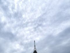 -日照海滨国家森林公园