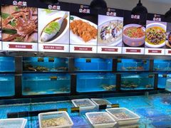 水产区-梦都海鲜酒家(万达广场江桥店)