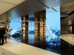 -深圳湾万象城(南山店)