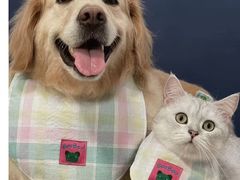 -纳吉亚猫专科动物诊疗中心(蒋宅口分院)