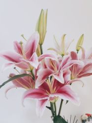 -美肤盾祛痘·问题肌头疗管理中心