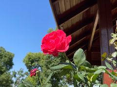 -上海山野camping·户外天幕烧烤·团建拓展营地