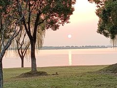 -漕湖湿地公园