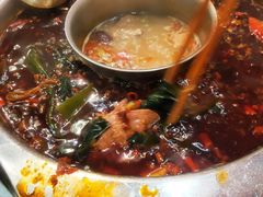 海带芽-青年火锅(吾悦广场直营店)