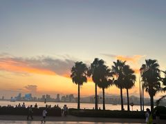 -厦门海湾公园游乐场