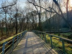 -西湖风景区-江洋畈生态公园