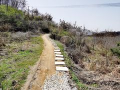 -秦岭风景区