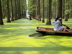 -渌洋湖湿地公园