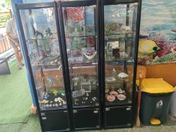 点击看大图 -寻石问宝研学亲子乐园(朝阳公园店)