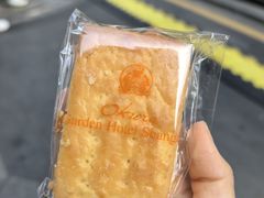 -上海花园饭店