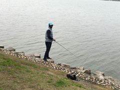 -上海滴水湖皇冠假日酒店