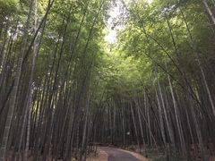 -苏州环秀晓筑养生度假村