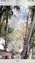 -成都飞越丛林探险乐园(锦绣城园区)