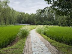 -北坞公园