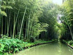 -同里国家湿地公园