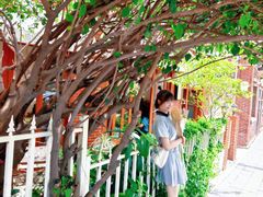 -溪岸路花鸟市场