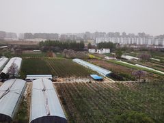 -商丘站