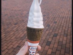 -富豪雪糕车流动点(尖沙咀店)