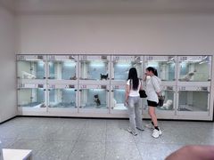 -银座和谐广场