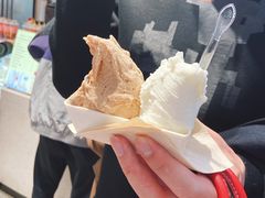 -野人先生现做冰淇淋(西安赛格店)