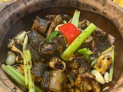 -天宝食坊·啫啫煲大排档(西华路店)