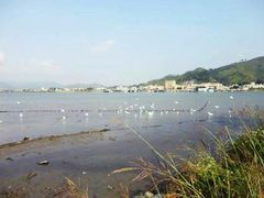 -盐洲岛