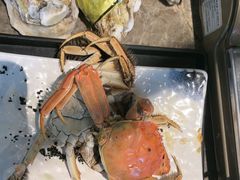 -亚马逊蒸汽活海鲜自助(LCM置汇旭辉广场店)