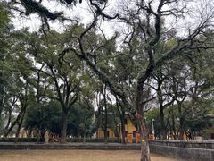 -桂林独秀峰王城景区